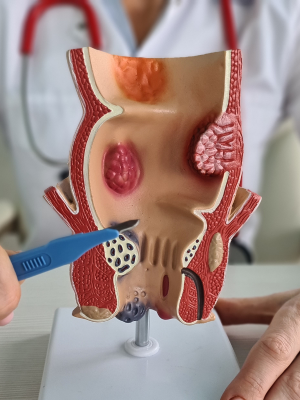 Progetto senza titolo